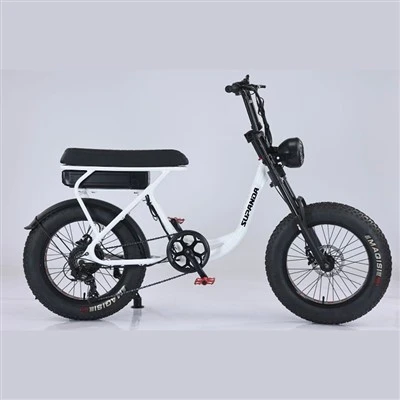 Подвійна корона Ebike
